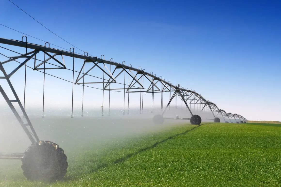 Estados Unidos será sede de la Cumbre de Sustentabilidad del Agua Agrícola en agosto de 2026